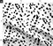 Animal Print, Dog, Dalmatian, Spots, Black White, Puppy, Dots Custom Printed Fabric by Spoonflower Various Fabrics by the Yard or Fat Quarter